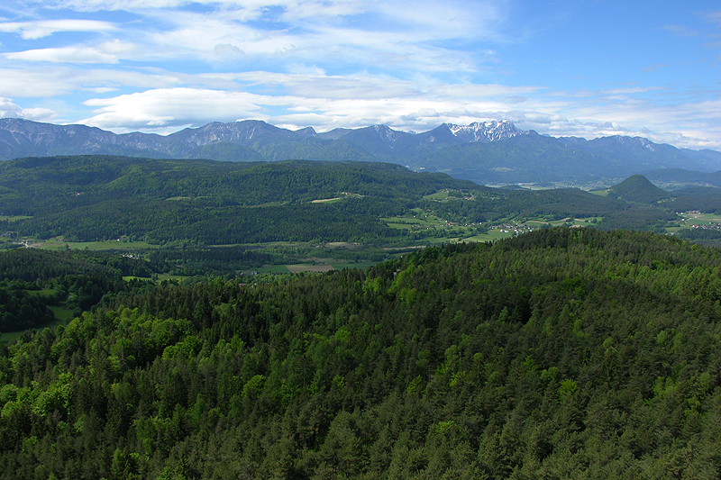 Turiawald und Kathreinkogel, dahinter Karawanken