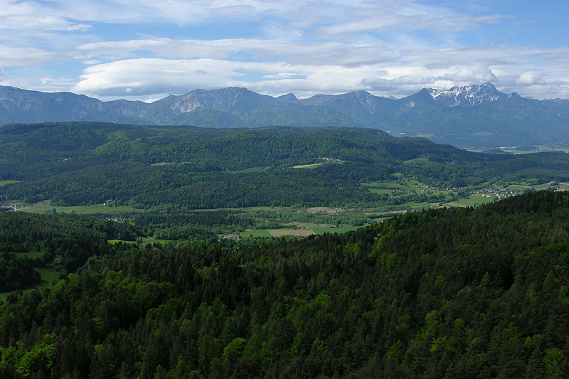 Turiawald, dahinter Karawanken mit Mittagskogel