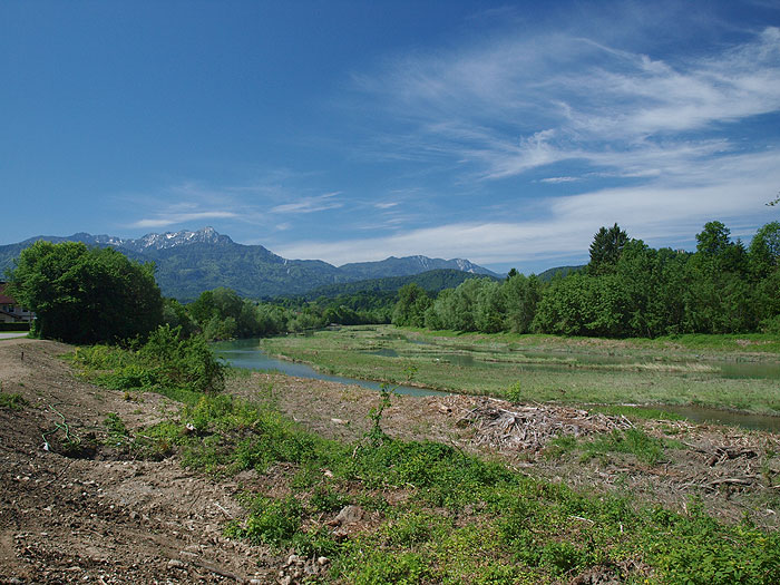Fluss Drau bei Latschach (Ktn.)